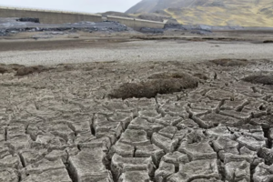 Emergencia ambiental en Bolivia por la sequía (Fuente: AFP)