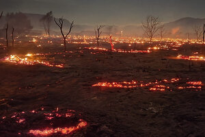 Un incendio en Cafayate consume bosque nativo  (Fuente: FM Cafayate La Nueva 94.1)