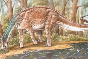 Científicos del CONICET descubrieron una nueva especie de dinosaurio titanosaurio  (Fuente: CONICET)