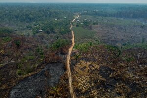 La deforestación en la Amazonía brasileña cayó 22,3% en un año  (Fuente: AFP)