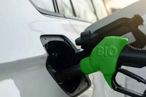 Suba de los biocombustibles
