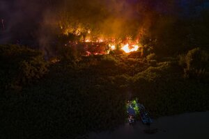 La fauna del Pantanal brasileño, en peligro por los incendios fuera de control (Fuente: AFP)