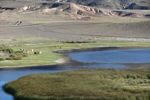 Crean una alianza para proteger los humedales andinos