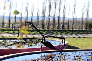 La industria del vino crece en el territorio bonaerense. 