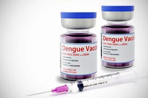 El precio de la vacuna contra el dengue promedia los $80 mil 