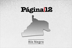 Resultados elecciones en Río Negro: Milei presidente