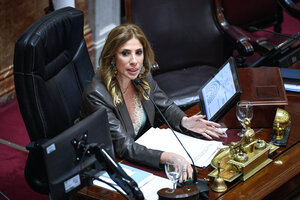 Claudia Ledesma desmintió que busque seguir en la Presidencia Provisional del Senado (Fuente: NA)