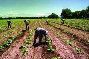 Trabajadores tabacaleros lograron más del 100% de aumento hasta febrero 