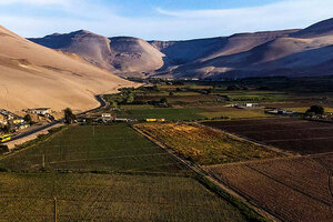 Valle de Azapa