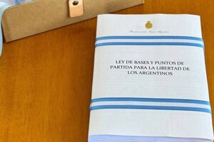 Los juristas piden la palabra y exigen a Martín Menem lugar en el debate