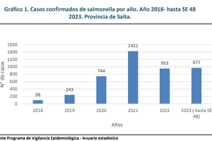 Salta cerró 2023 con casi 1500 casos de salmonella confirmados