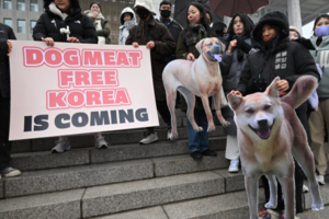 Corea del Sur prohíbe la venta de carne de perro para consumo humano (Fuente: AFP)