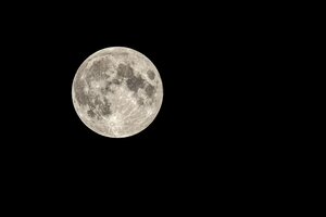 Calendario lunar de enero 2024, qué es la "Luna del Lobo" y cómo verla