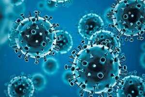 La OMS advierte sobre la enfermedad X, 20 veces más mortal que la covid: qué es y por qué podría ser una nueva pandemia