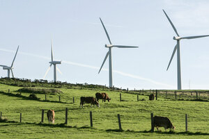 El boom de la energía renovable (Fuente: EFE)