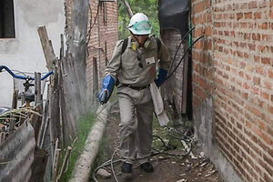 Refuerzan medidas de prevención para combatir el dengue en Corrientes   (Fuente: NA)