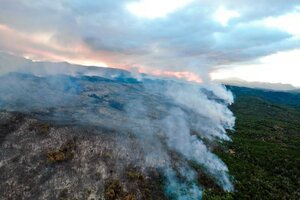 Casi 600 hectáreas fueron arrasadas por el incendio en el Parque Nacional los Alerces de Chubut (Fuente: Télam)