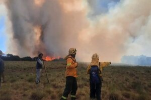 Neuquén: un incendio en el Parque Nacional Lanín quemó 12 hectáreas de bosque nativo