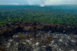 Un respiro para la Amazonia brasileña (Fuente: AFP)