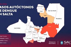 Ahora el dengue se da más en el sur y centro de Salta 