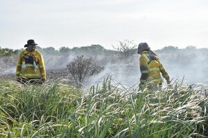 La Provincia de Buenos Aires extinguió dos focos de fuego en las reservas de Punta Lara y Tornquist