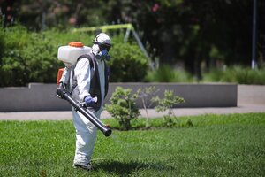 Invasión de mosquitos: ¿funcionan las fumigaciones en parques y plazas? (Fuente: GCBA)
