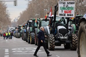 España: tractorazo en defensa del campo (Fuente: AFP)