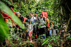 Crisis migratoria: 16 mujeres son violadas por día en la selva del Darién (Fuente: Médicos Sin Fronteras)