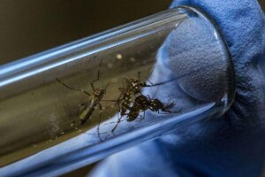 Dengue: confirmaron dos muertes en Catamarca