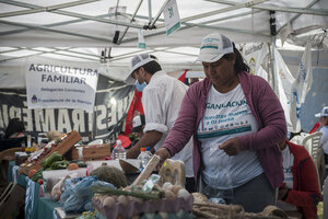 Agricultura familiar: cómo impactará el cierre del INAFCI en las economías campesinas (Fuente: Adrián Pérez)