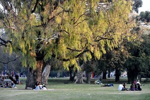 Una joven se desvaneció y murió mientras trotaba en una plaza de La Plata (Fuente: NA)