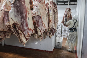 Cae el consumo de carne y crece la exportación (Fuente: Leandro Teysseire)