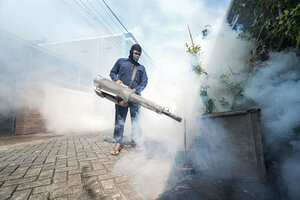Perú convoca a un "fumigatón" contra el dengue (Fuente: DPA)