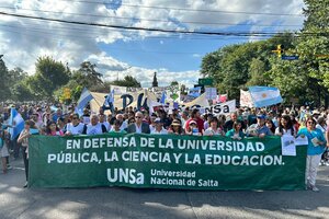 Más de 20 mil personas marcharon en Salta por la universidad pública (Fuente: Gentileza Erre Elías)