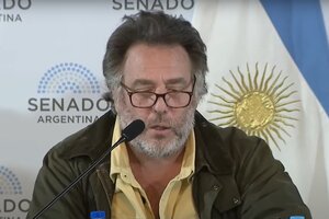Mariano Llinás: "No es lo mismo tener diferencias con una institución que permitir su aniquilación"