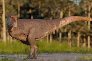 Un nuevo dinosaurio con nombre tehuelche
