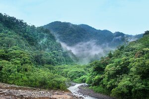 Brasil registra la primera caída de la deforestación en cinco años