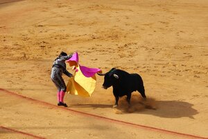 El Congreso de Colombia prohibió las corridas de toros