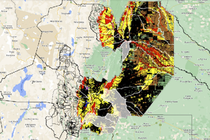 Autorizarán 20 mil hectáreas de desmonte en Salta
