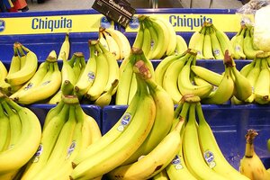 La multinacional Chiquita Brands deberá indemnizar a víctimas de paramilitares en Colombia