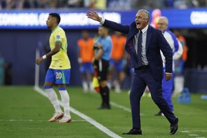 Copa América: Gustavo Alfaro cazó una "utopía" llamada Brasil (Fuente: AFP)