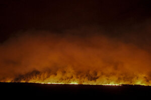 Arde el mayor humedal del planeta (Fuente: EFE)