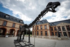 Francia: subastan el fósil del dinosaurio más grande jamás puesto a la venta (Fuente: AFP)