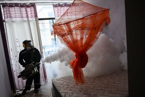 Brote de dengue en Centroamérica: ya hay más de 100 muertos (Fuente: AFP)