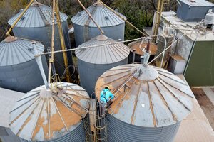 700 silos sin declarar en campos bonaerenses