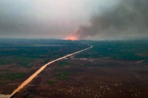 Brasil anunció que fueron controlados los grandes incendios en el Pantanal