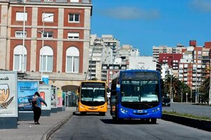 Exigen la reducción del boleto del transporte en Mar del Plata