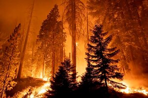 Miles de personas evacuadas en California debido a un incendio fuera de control