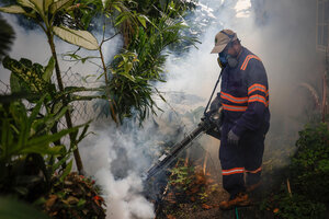 Brasil confirmó las primeras dos muertes por la fiebre de Oropouche (Fuente: EFE)