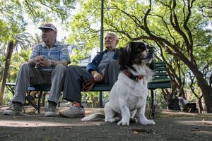 ANSES anunció el calendario de pagos de agosto (Fuente: NA)